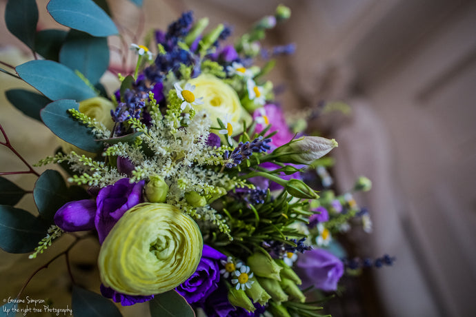 Bryony & Richard - April 2017